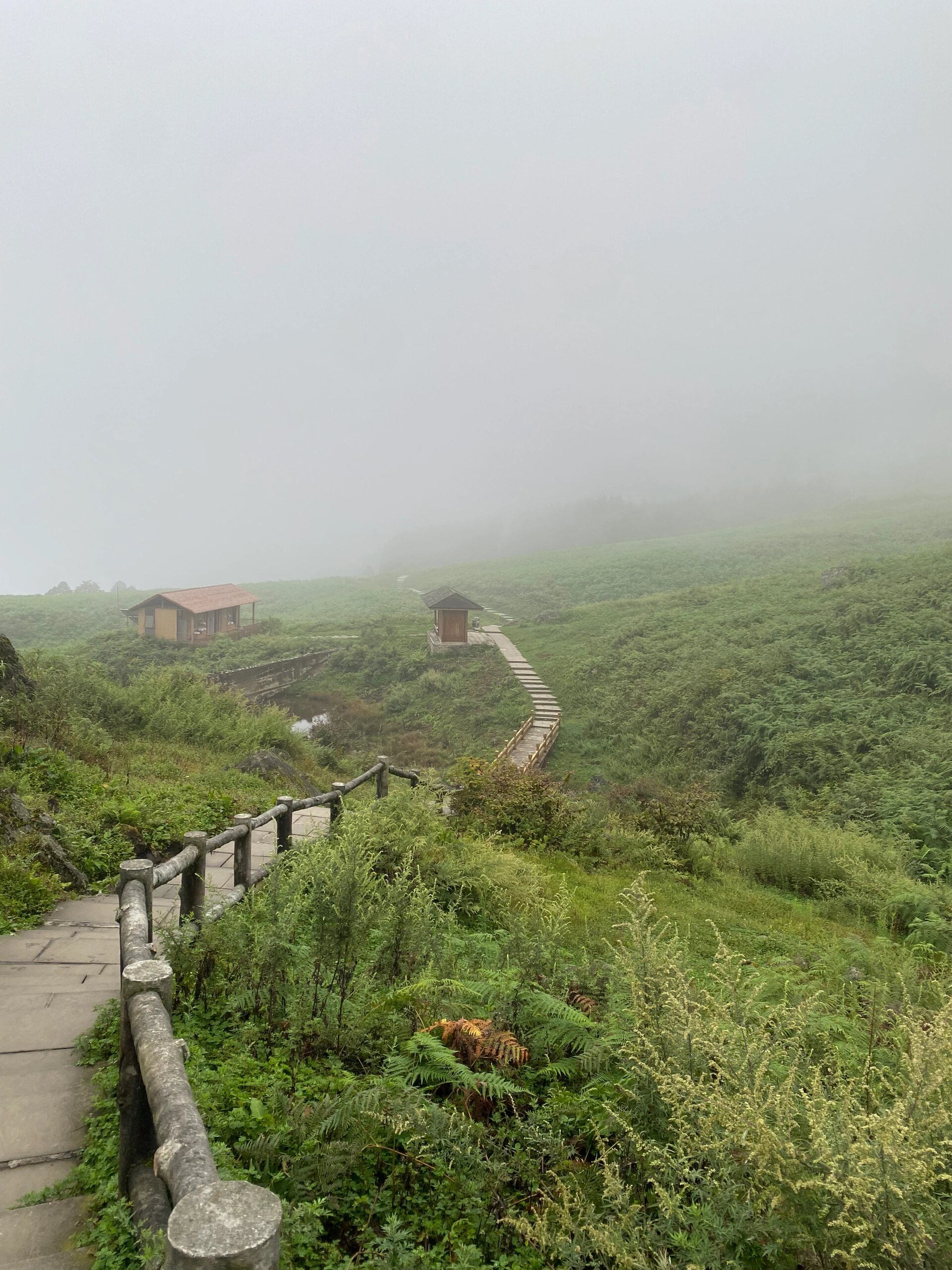 乐山黑竹沟旅游攻略图片