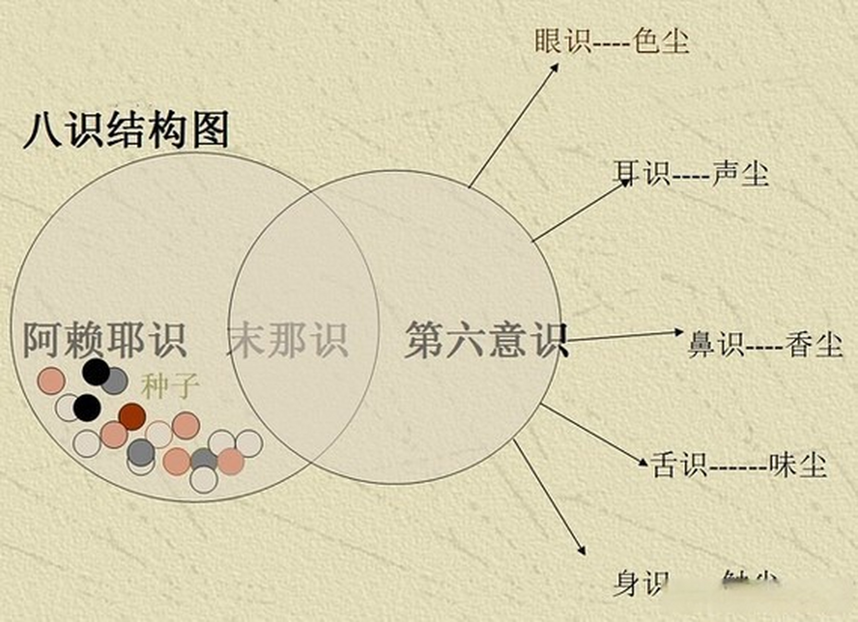 八识四分关系图图片