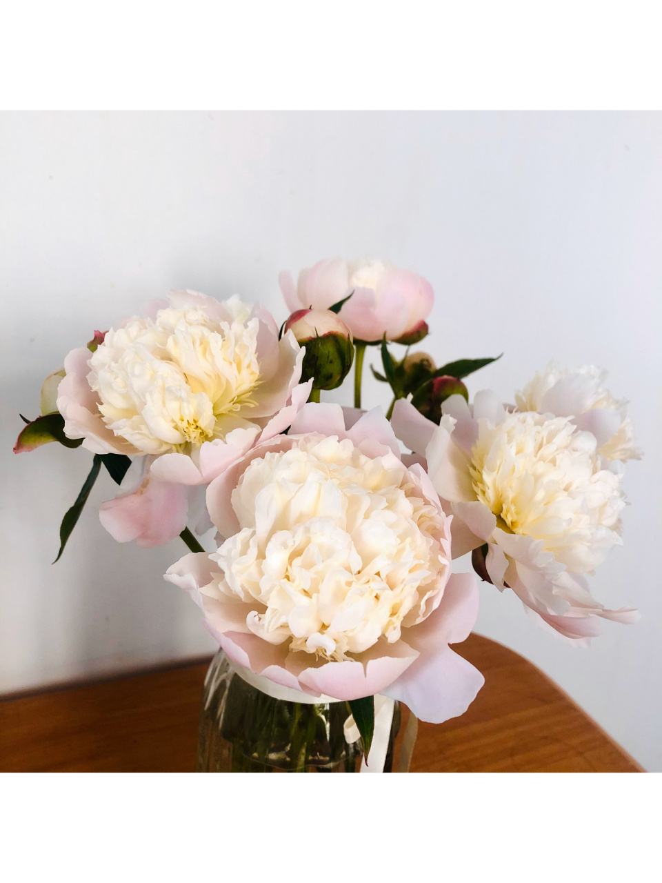 史上最详细啰嗦的铁蛋开花重瓣芍药养护教程 盒马做活动花19元买了10