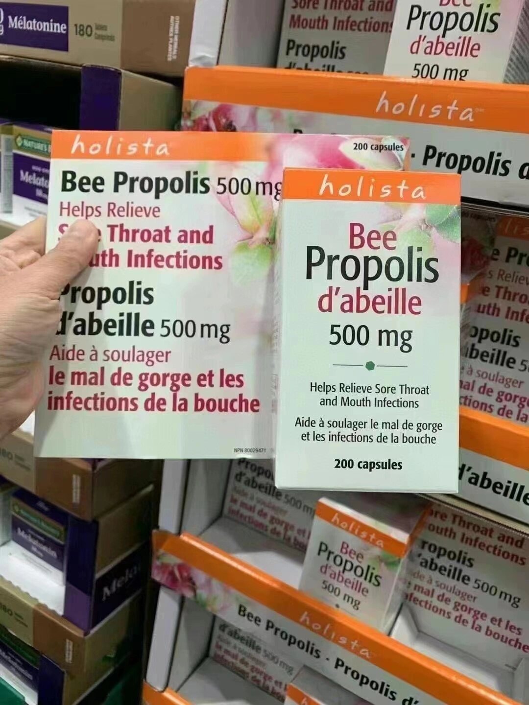 加拿大蜂胶的作用与功效价格(加拿大蜂胶液的功效) 加拿大蜂胶的作用与功效价格(加拿大蜂胶液的功效)