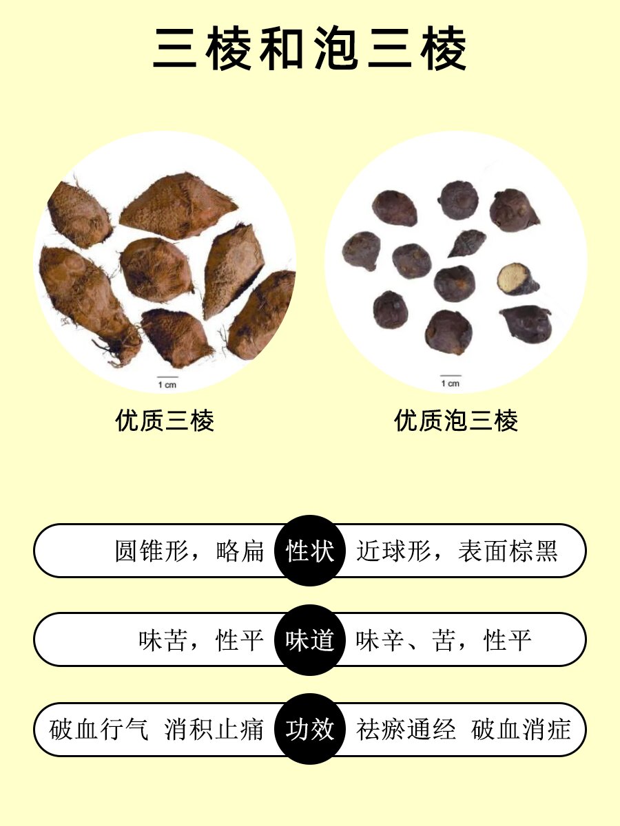 每天认识一味药:三棱 92名称:三棱 92类别:活血化瘀药 92拼音