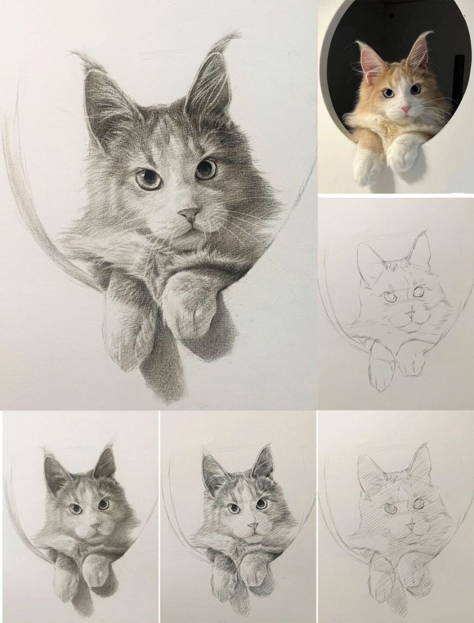 素描超可爱猫咪步骤详解 #明暗的艺术##素描# #素描动物# #零基础素描