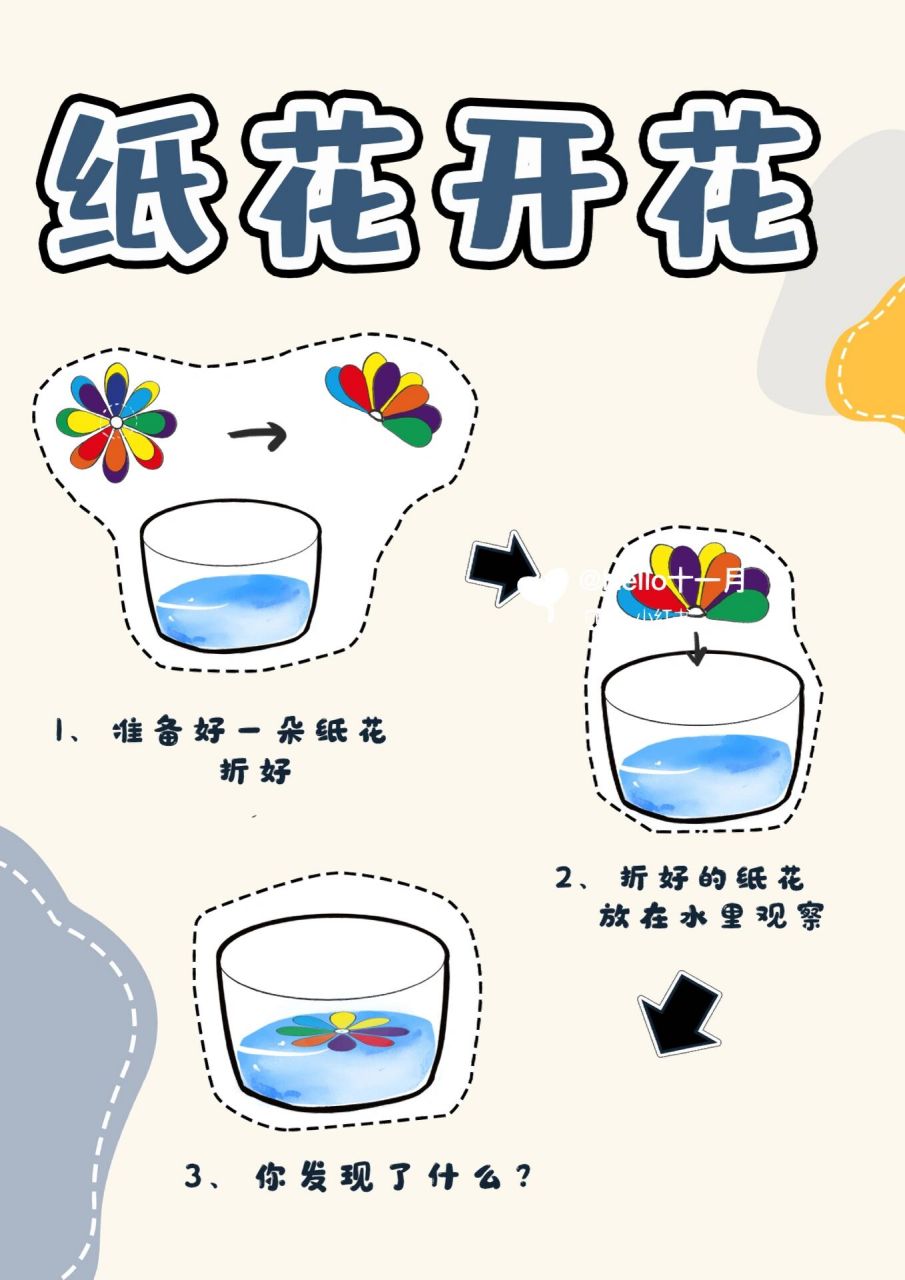 纸花开花 水滴旅行 油和水的相溶 硬币存水