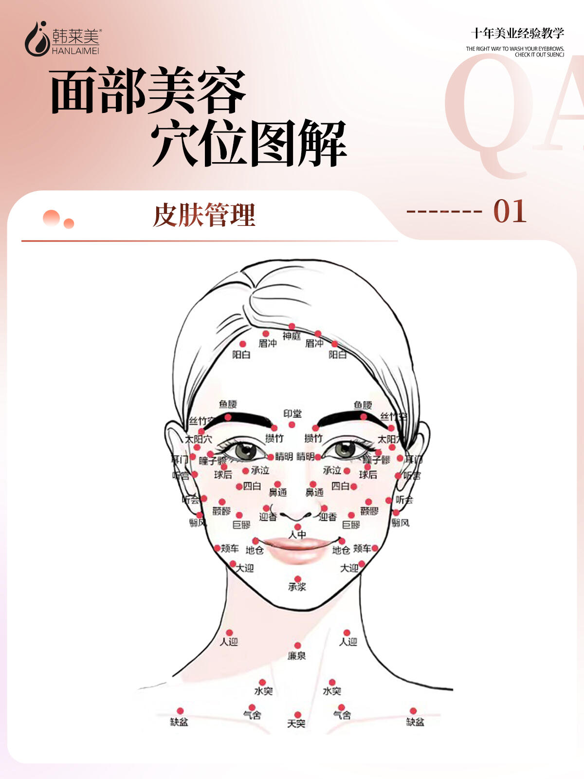 面部美容穴位图解