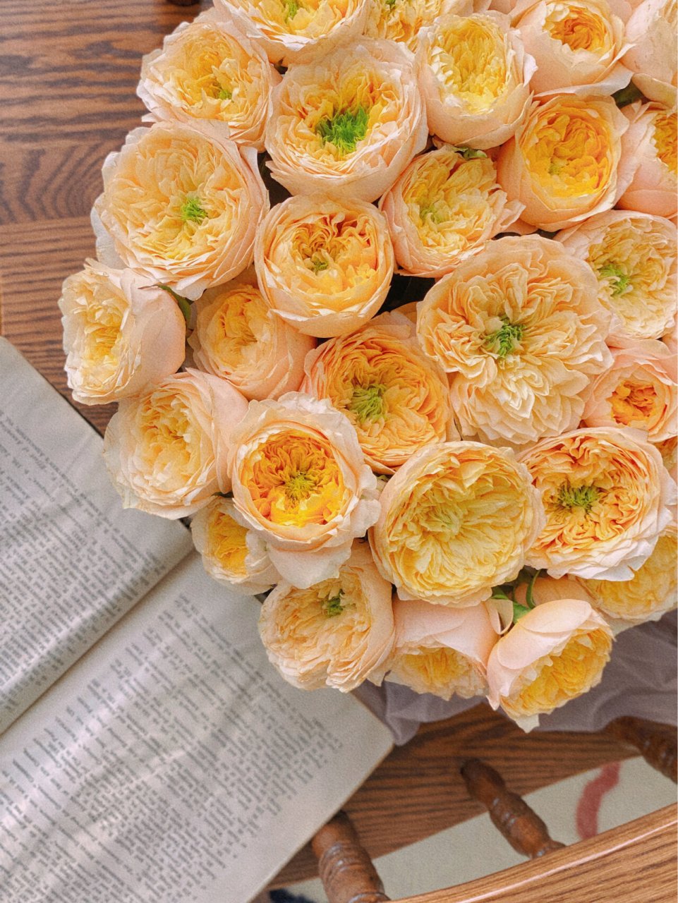 玫瑰和爱一样温柔 |网购鲜花 多头黄蝴蝶 养了很多次黄蝴蝶,这次最