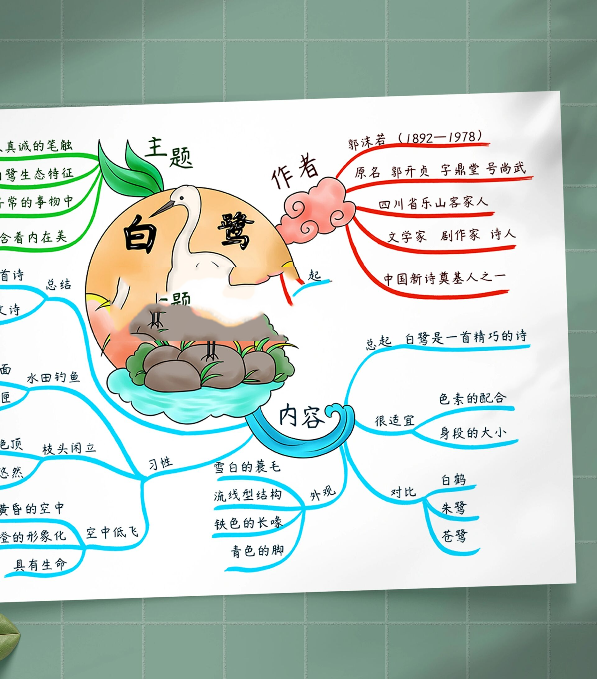 白鹭的思维导图怎么画图片