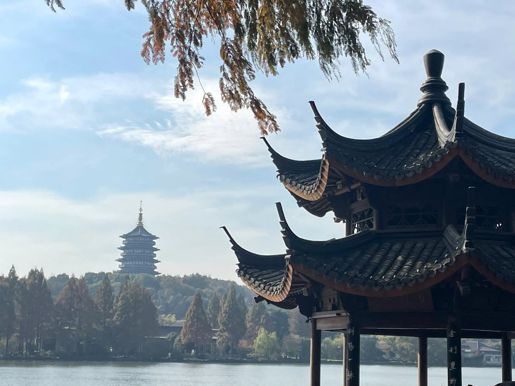 12月旅行|不下雪的冬季西湖风景也很美 现在的人真的不多,很适合去玩