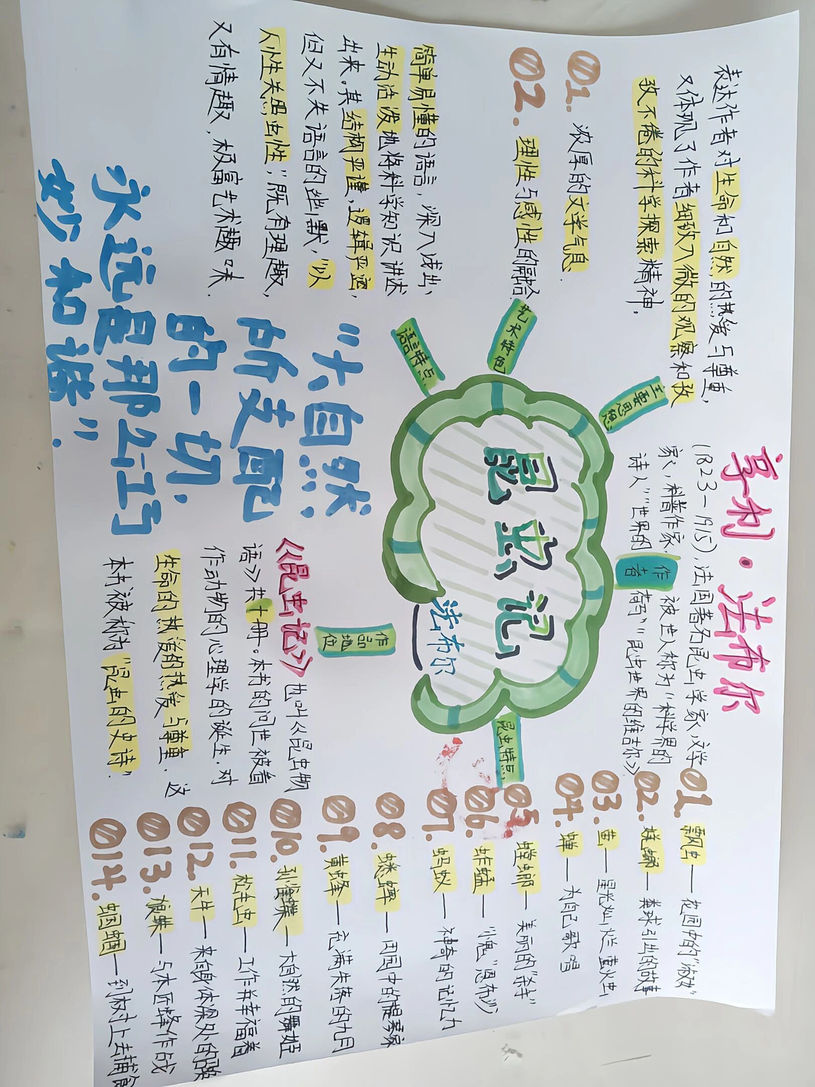 《昆虫记》思维导图 熙熙哦97