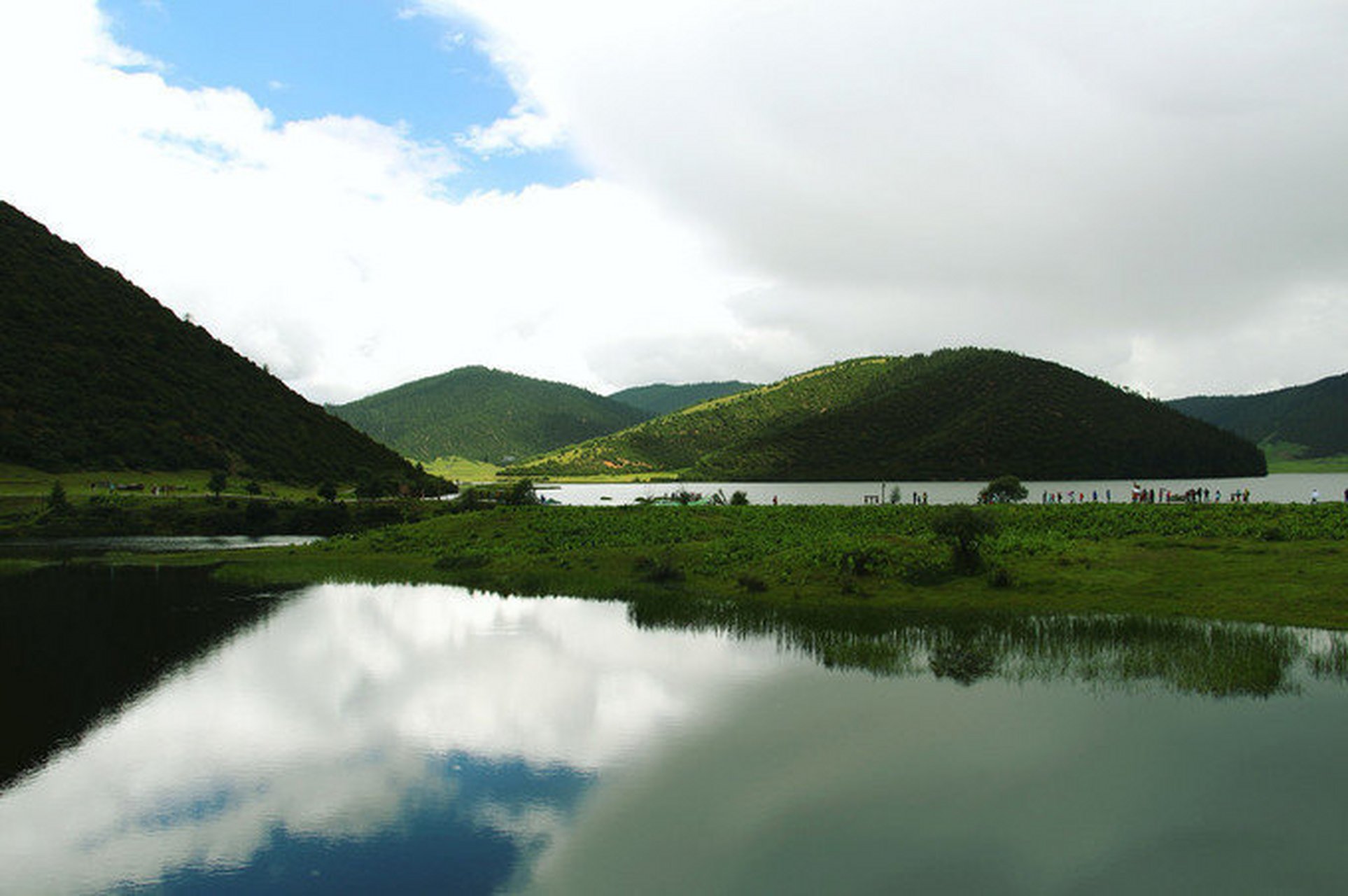 依拉草原/纳帕海,看牛羊在草甸上安详地吃草!