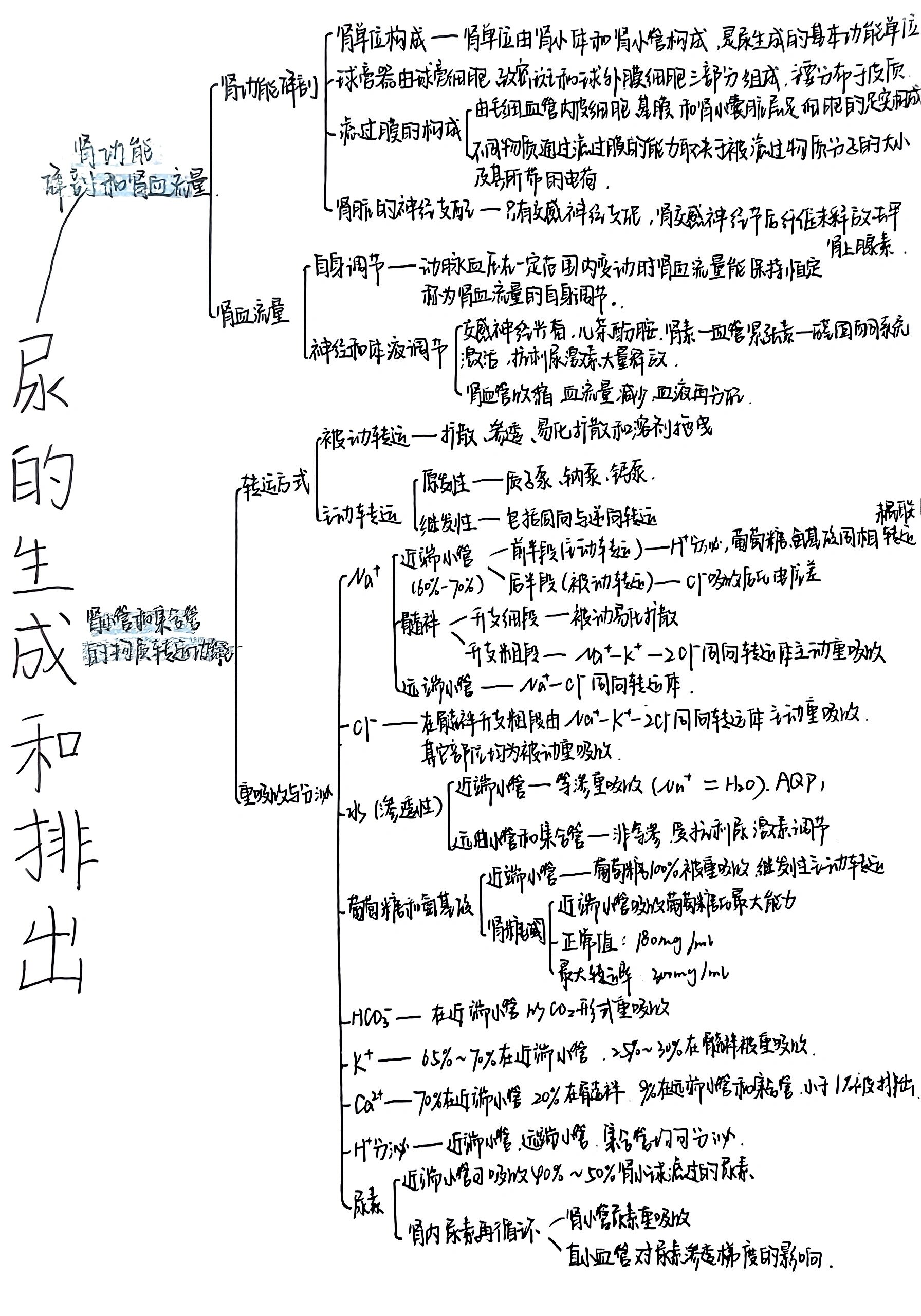 生理学第八章尿的生成和排出思维导图(一) 肾功能解剖和肾血流量 肾小