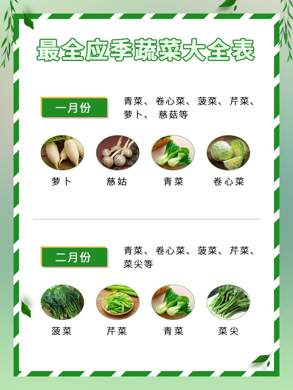 最全应季蔬菜大全表!