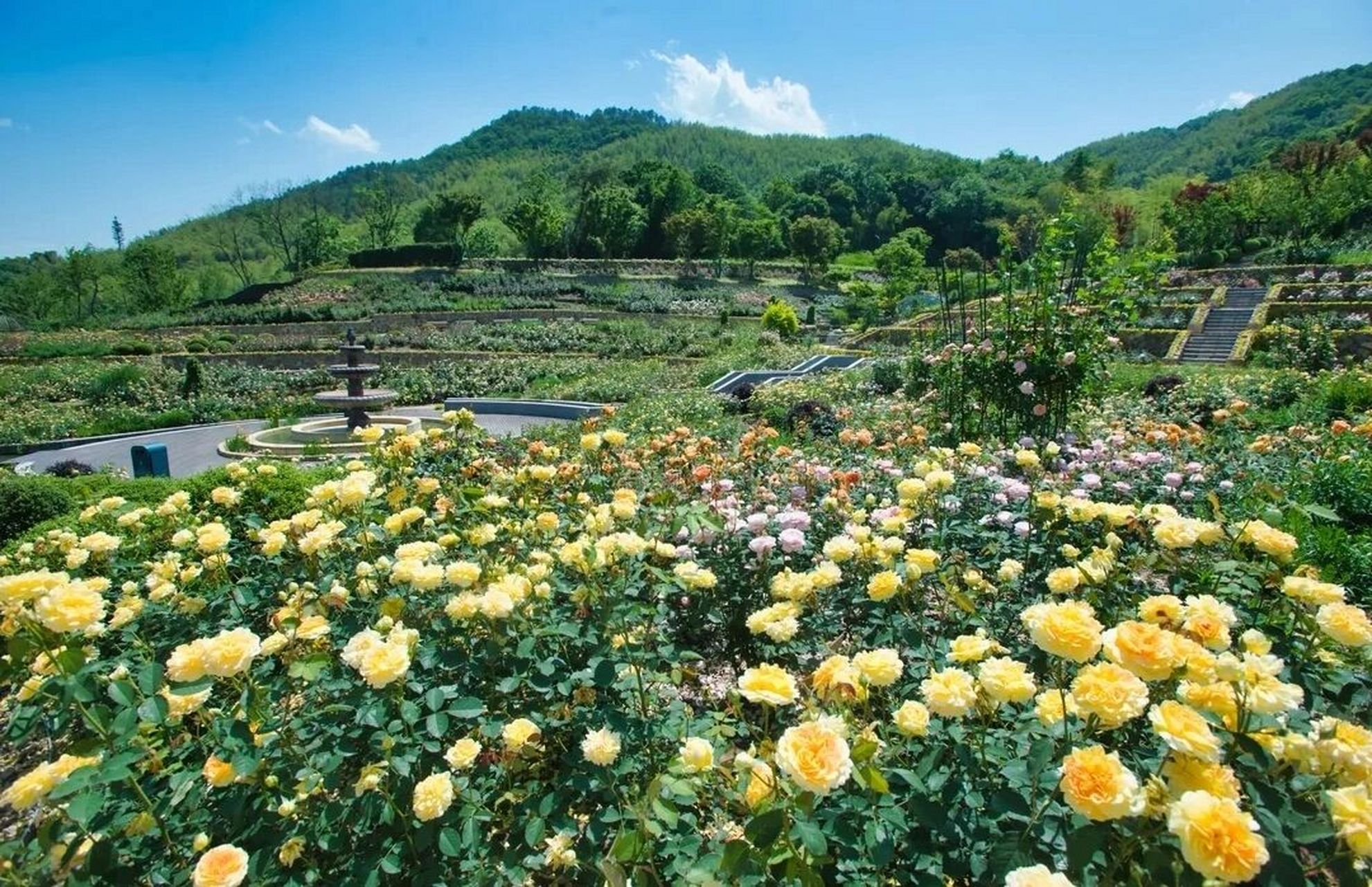 【上渚山奇幻谷】一个让你沉醉的仙境78 99景点简介99 上渚山