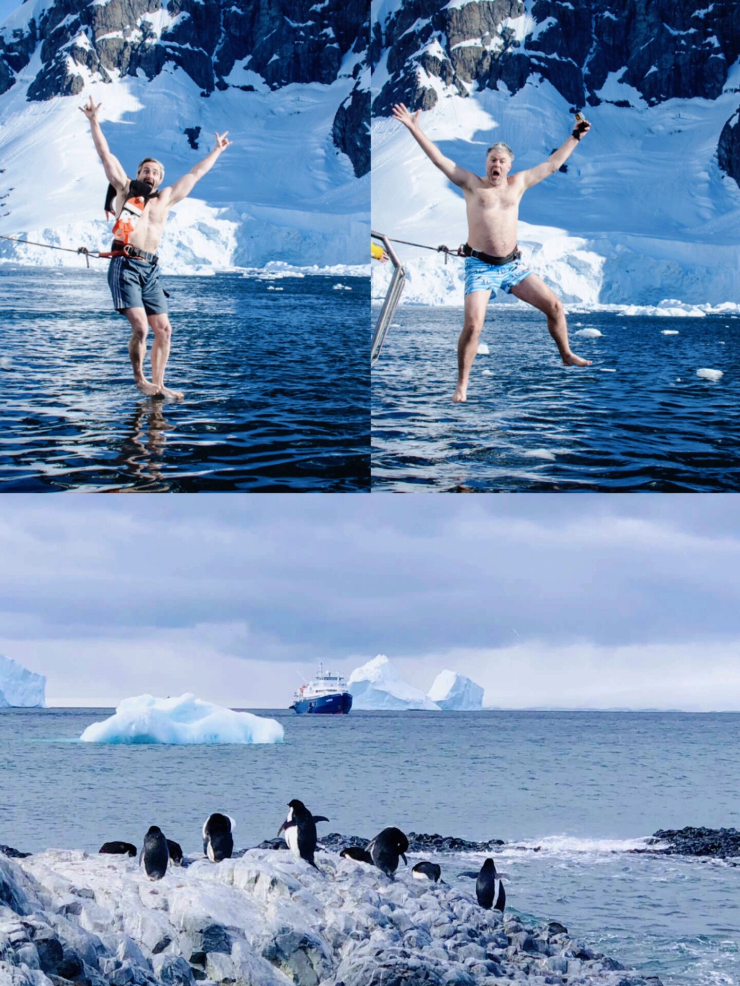 南极五岛 重走沙克尔顿探险之路 南极5岛,发烧友的进阶南极之行.