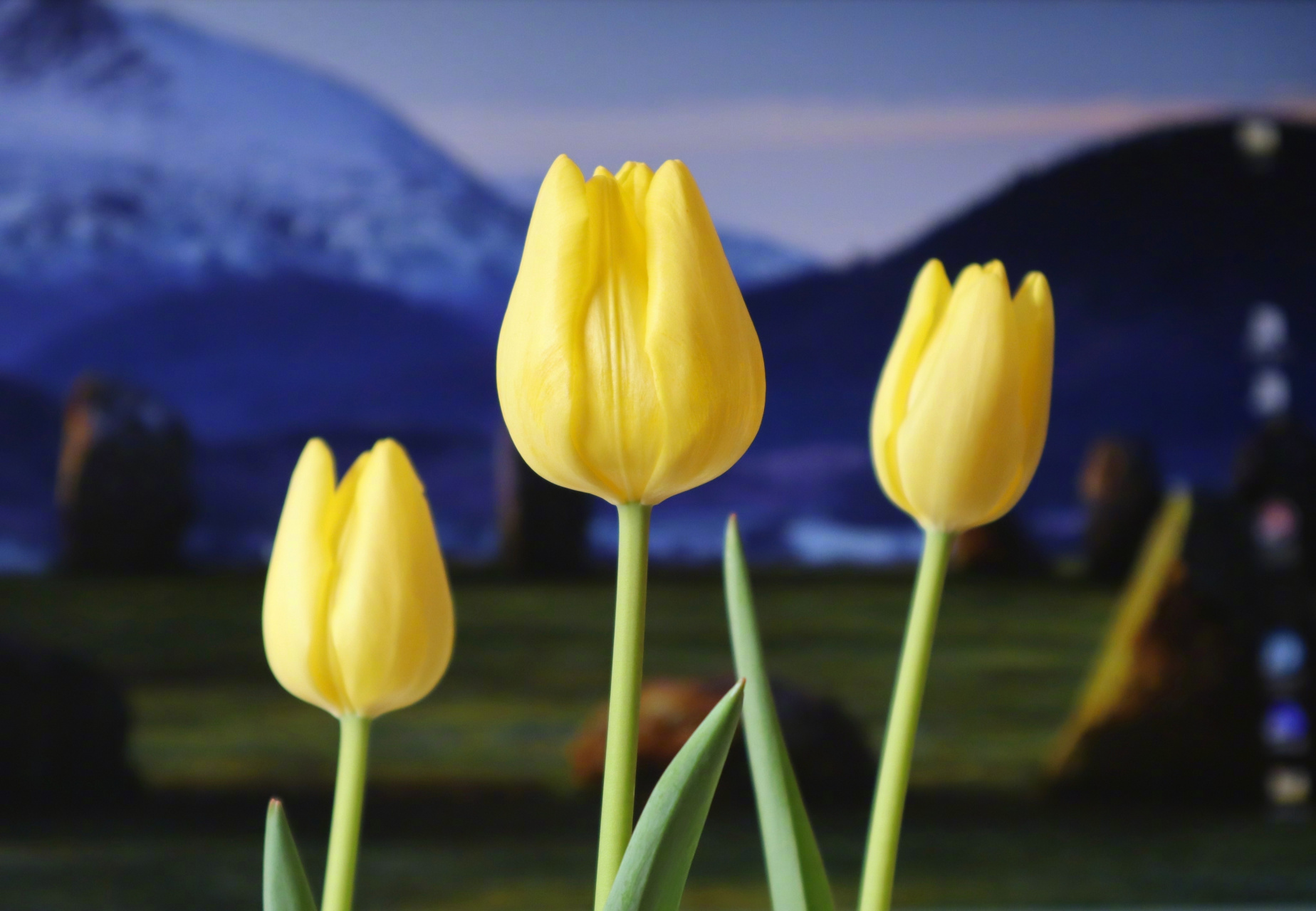 在基本同一时间用小米14 pro,小米mix fold3,苹果13 pro,佳能m50 mk2