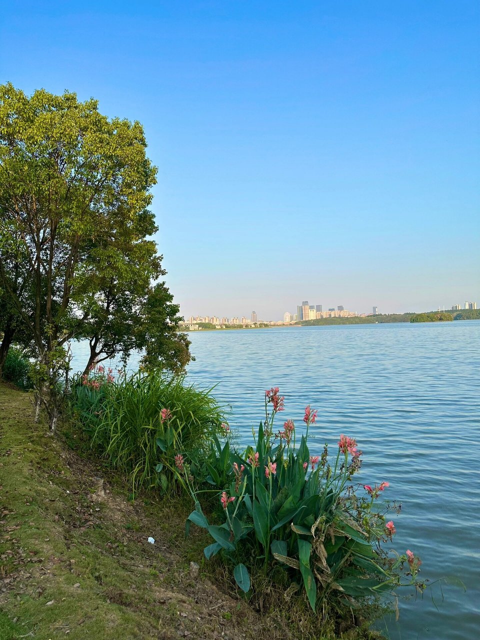 南昌 前湖公园真的很适合野餐94 最近的温度很舒服,在湖边野餐,吹