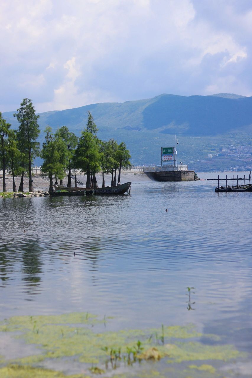 今日洱海 才村码头/龙龛码头 98今天超级晒 拍完照根本不想动了  我