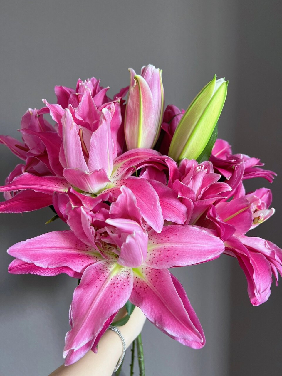 重瓣百合 紫莲花 卖家写的特福 品种应该是紫莲花