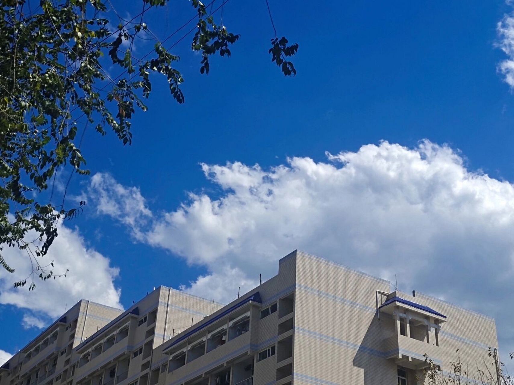 吉首大学张家界校区的春夏秋冬   每天能看看景色也挺满足的.