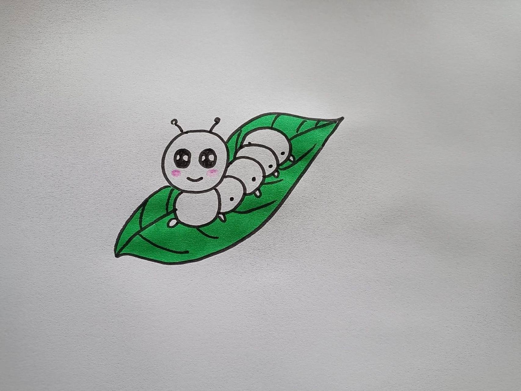 可爱63 6165的蚕宝宝来啦!   蚕宝宝简笔画