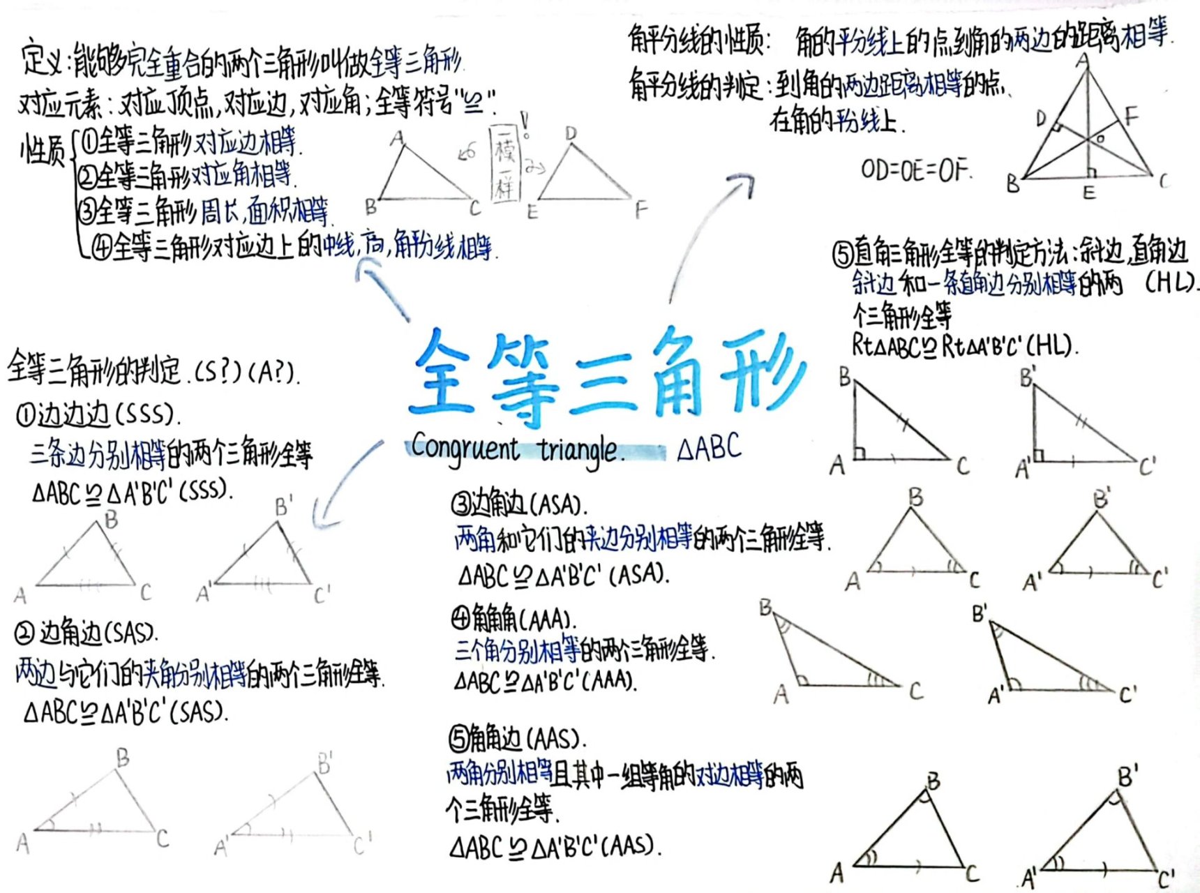 全等三角形思维导图 好久不见的思维导图呦呦呦,很小一张,因为是预习