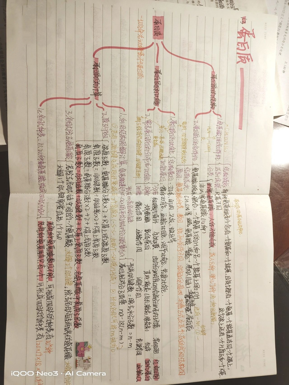 高中生物一轮复习蛋白质思维导图  拿图三连