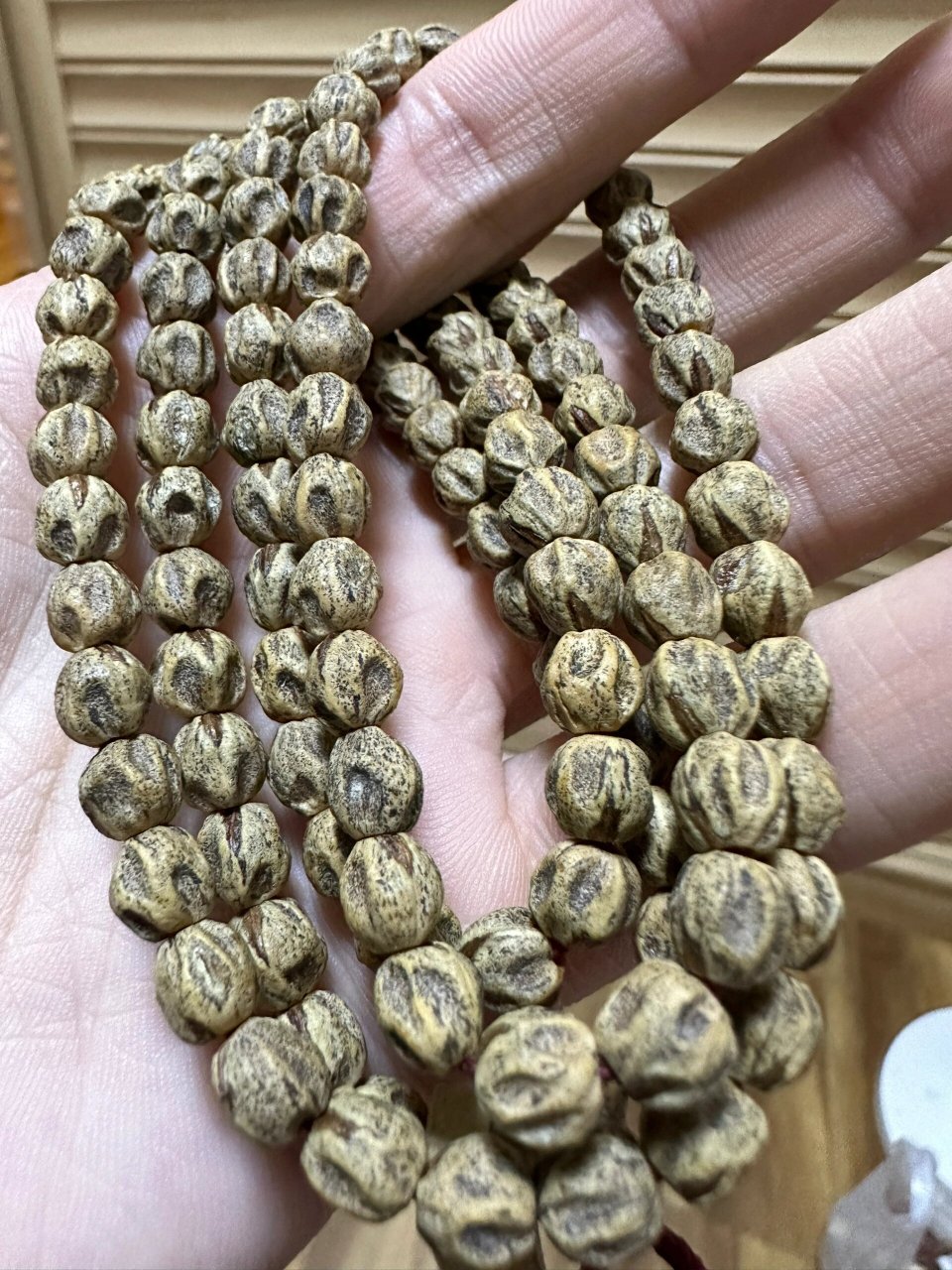 红芽热振原桩深坑鬼脸百香籽 鬼脸很夸张 油性密度皮质都很好 尺寸6