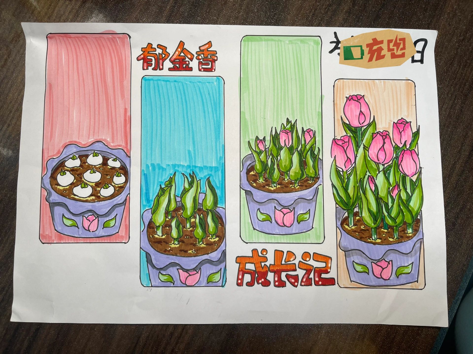 科学植物主题手抄报