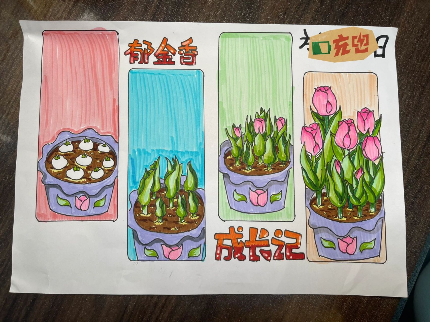 科学植物主题手抄报 一周三报……累趴了……… 	 原创在这里97