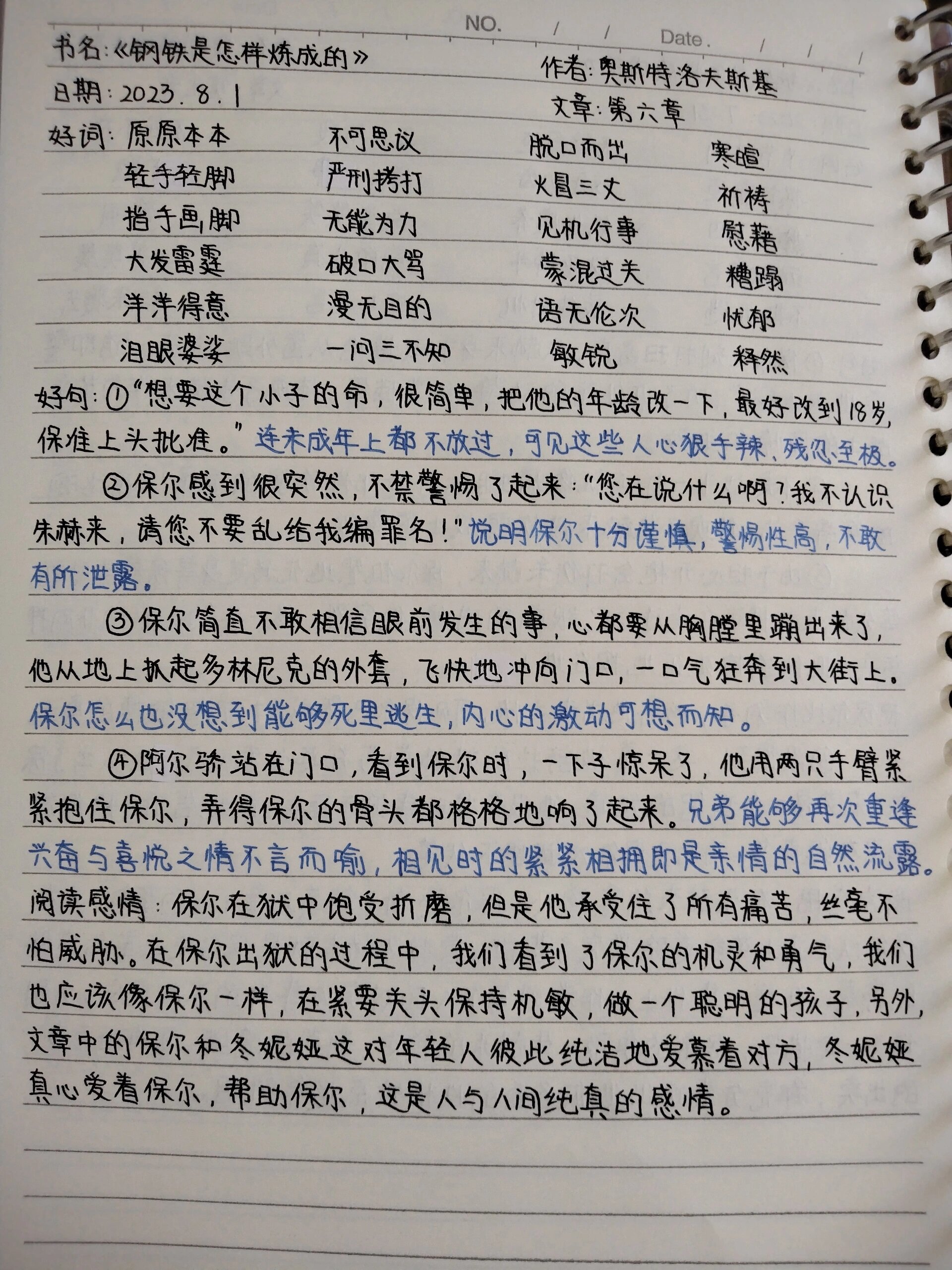 钢铁是怎样炼成的读书笔记20篇