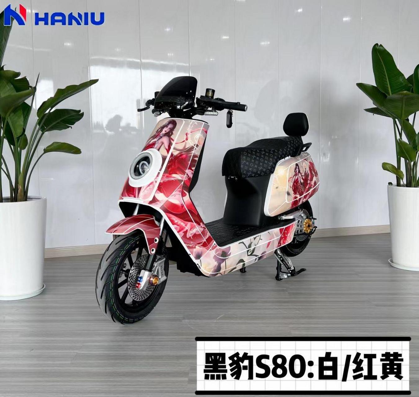 哈牛黑豹s80基本配置: 48/60v/72v30ah 锂电电池(铅酸电池),全顺12寸