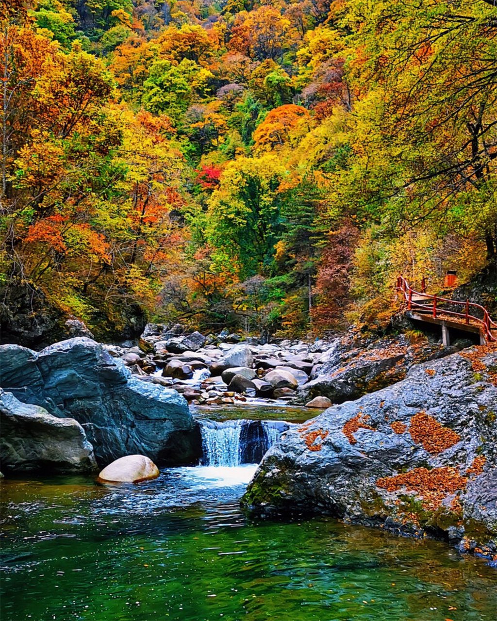 93梦幻山水61黄柏塬,美景在路上|附攻略 92一座秦岭山,半部中国