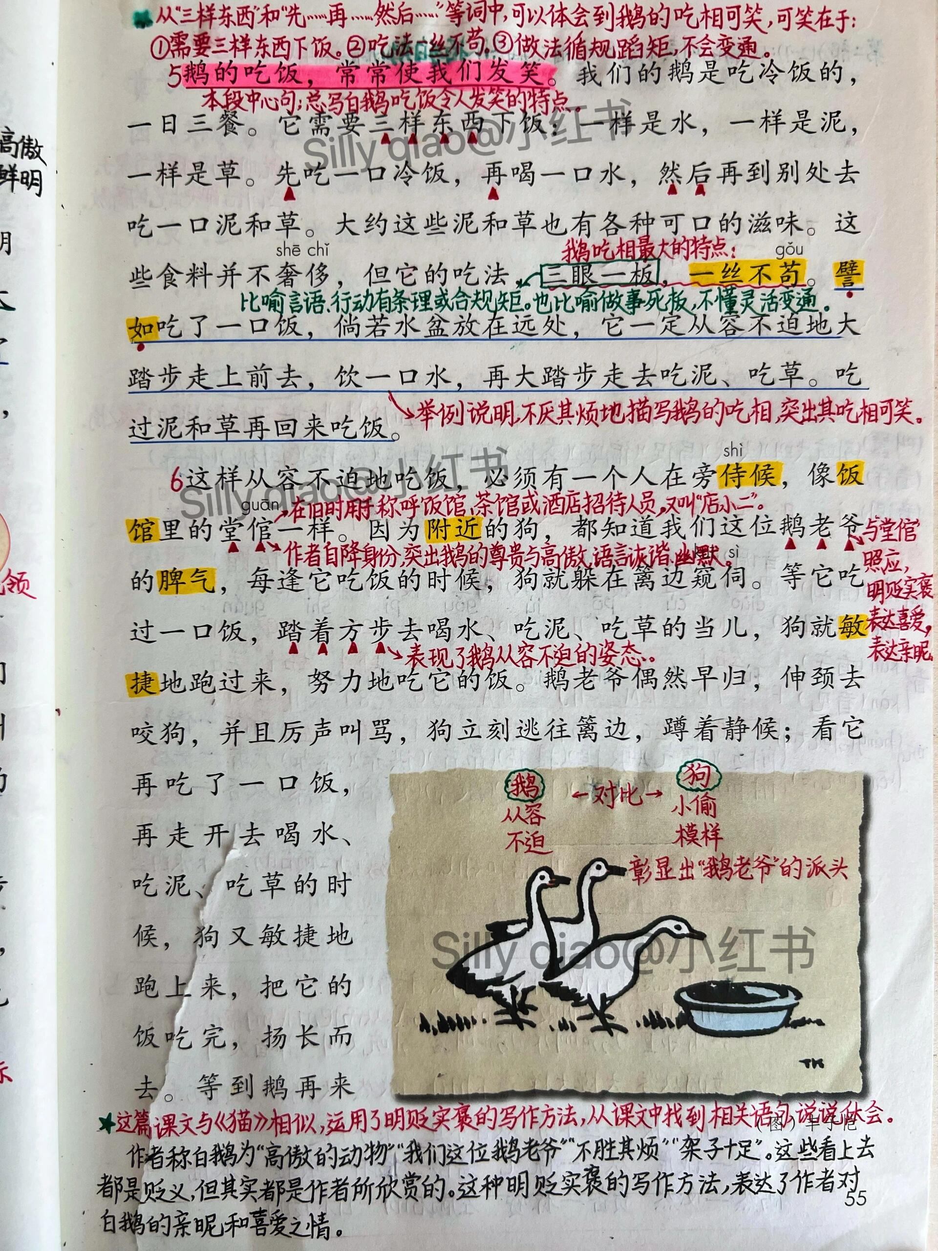 《白鹅》生字图片