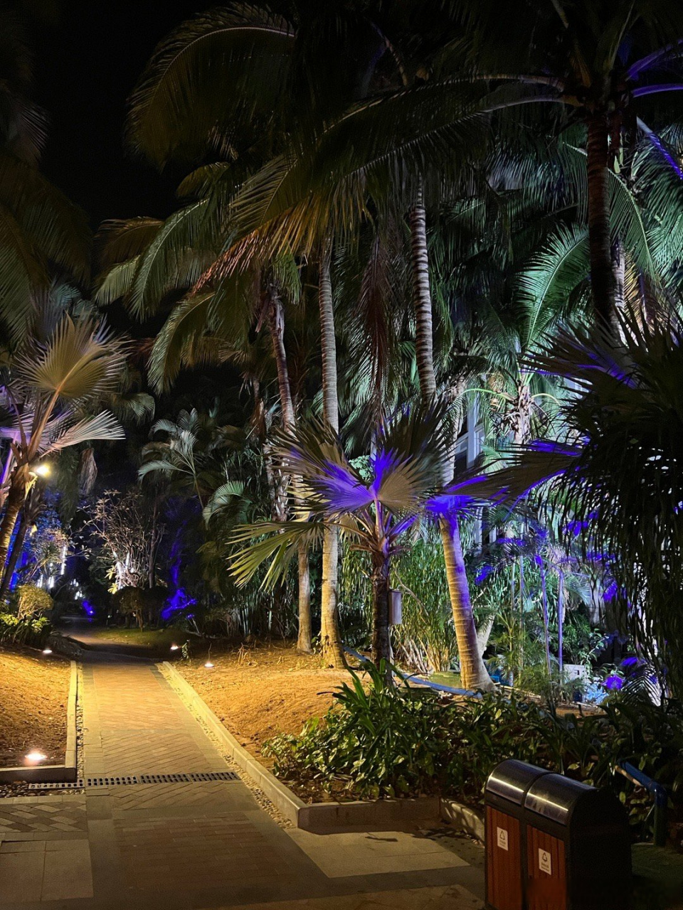 2023网络名人海南行# 三亚的夜景真美好!