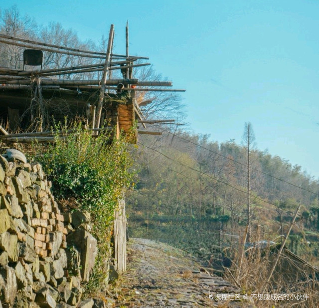 横溪金山村图片