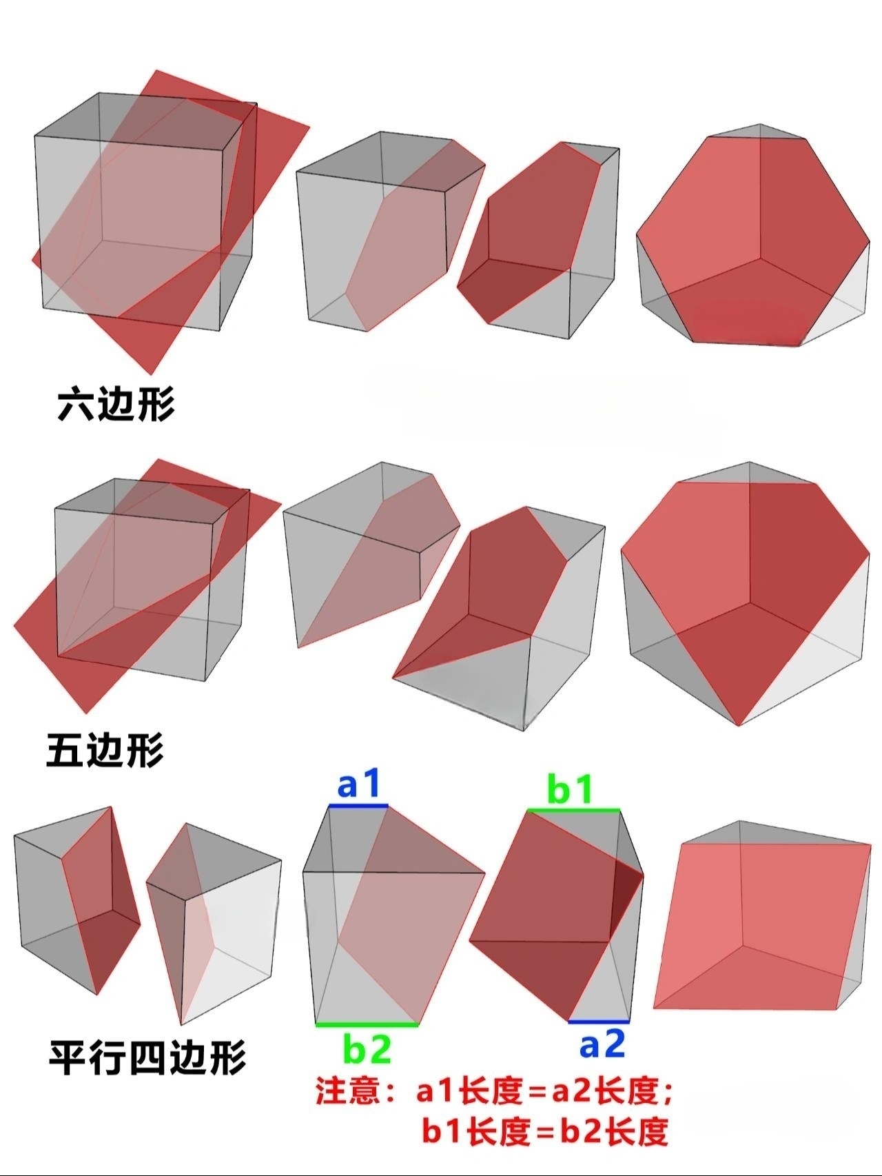 图形推理截面图技巧图片