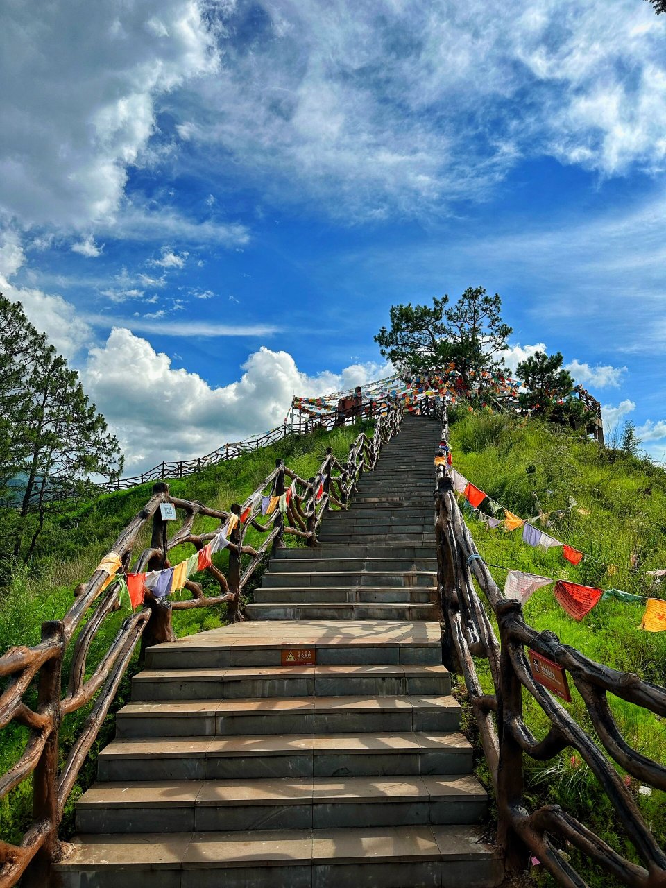 盐源公母山 菩提本无树,明镜亦非台 所思即所见,所见即所思 所以看到