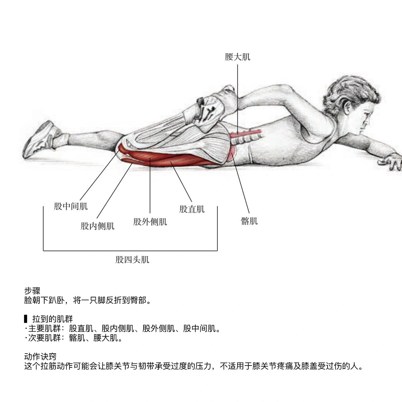 腿部肌肉拉伸动作图片