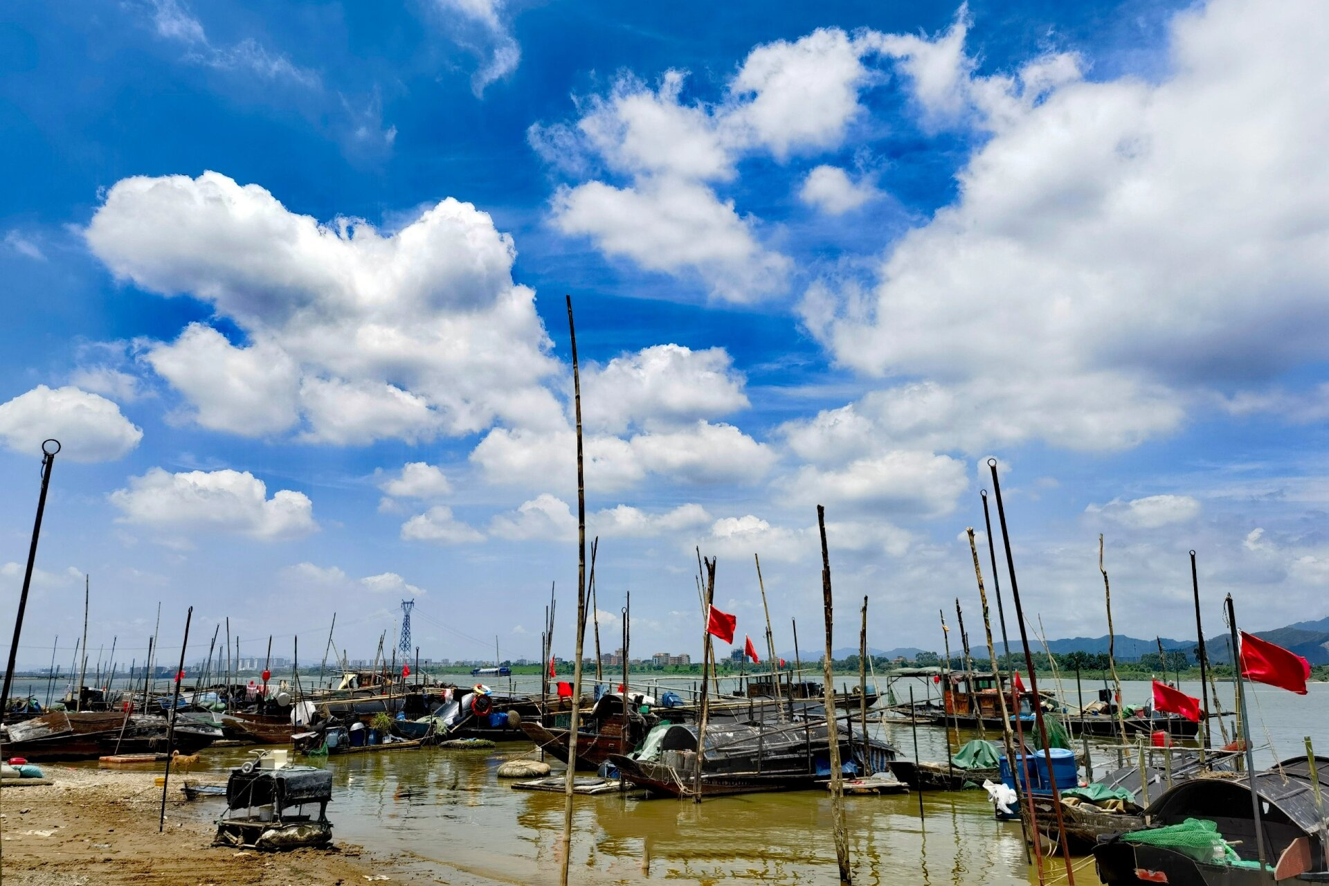 北江大堤芦苞镇