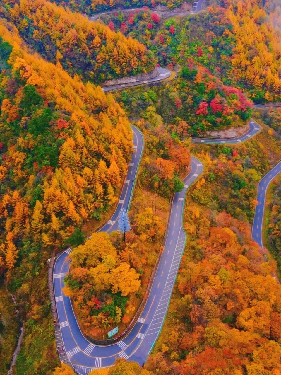 自驾黄柏塬07太洋公路绝美90人均400  07来一场自驾游吧,在这个