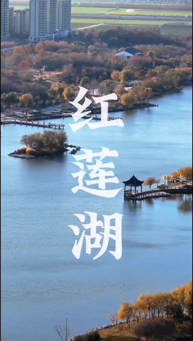 淄博桓台红莲湖地址图片