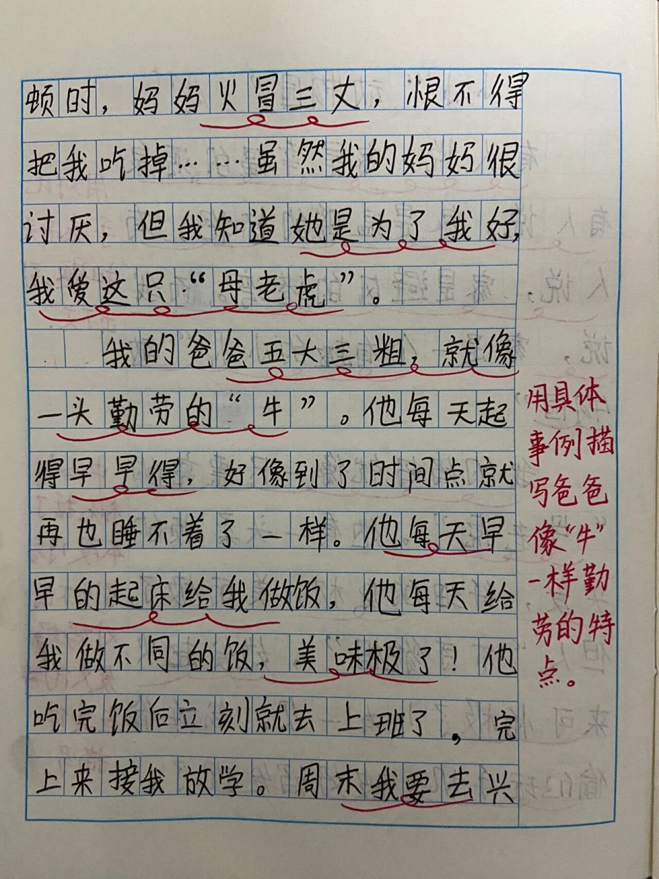 四年级上册第二单元习作《小小"动物园"》 班里的两位同学写的习作
