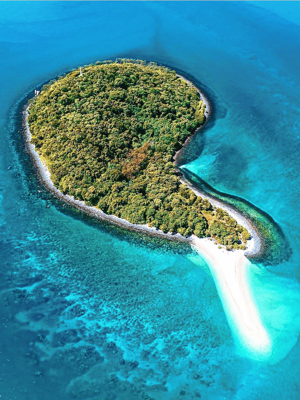 凯恩斯|第一次来大堡礁🌊一日游观光攻略! 世界自然遗产大堡礁堪称