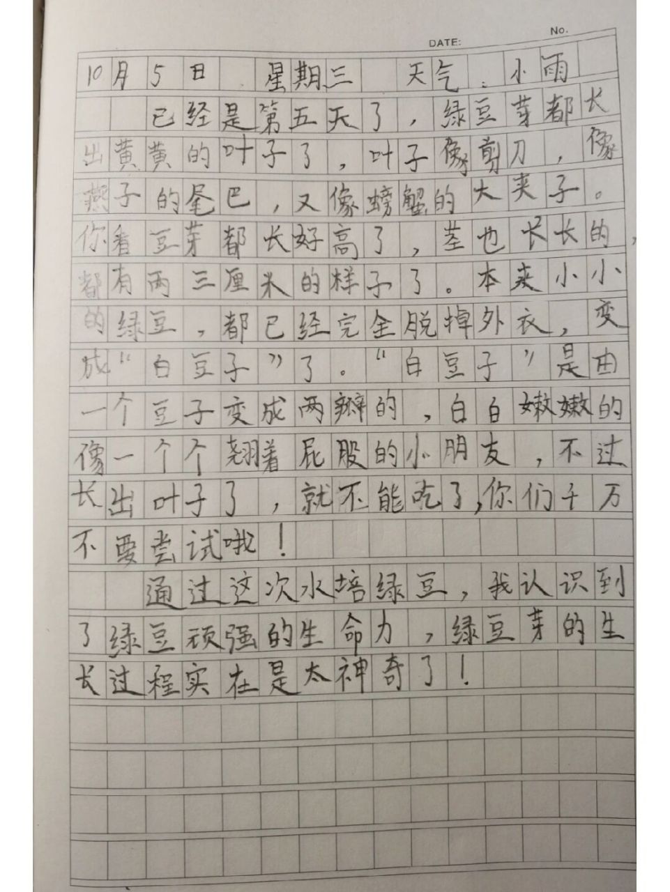 四年级观察日记350字绿豆发芽(小学生四年级观察日记绿豆发芽作文)