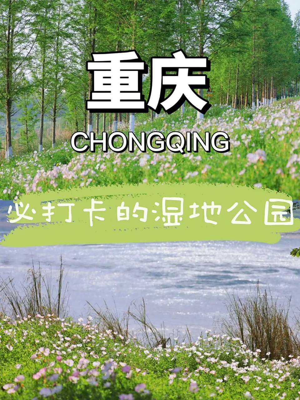 看看坐落于重庆渝北区的暮光森林!