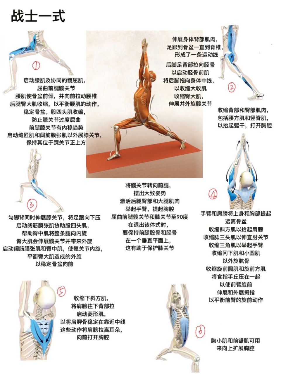 瑜伽体式|请大数据推给瑜伽小白,战式一详解 #一起来瑜伽# #瑜伽日常