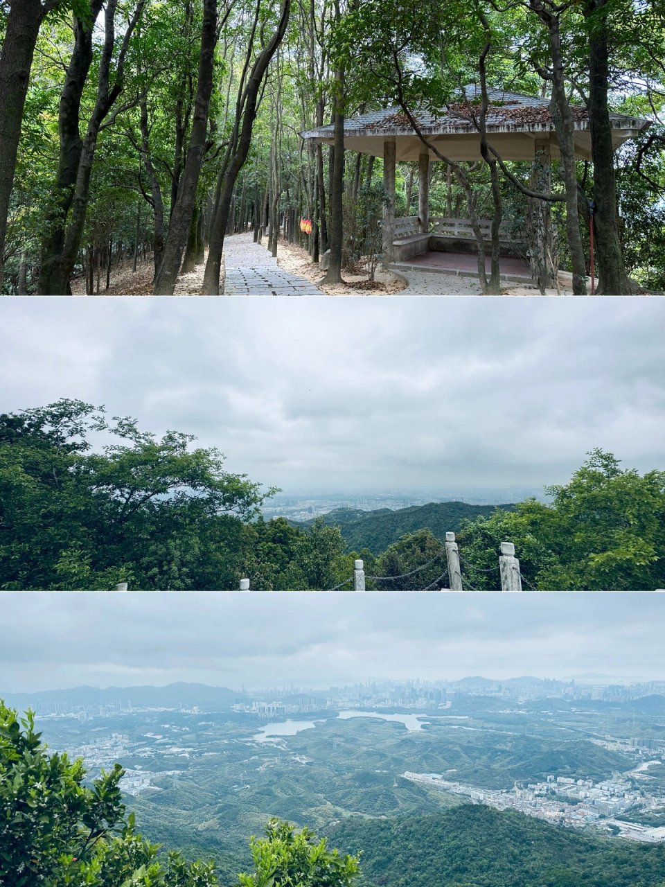 5平方公里,主峰位于石岩境内,海拔587米,是深圳西部的最高峰.