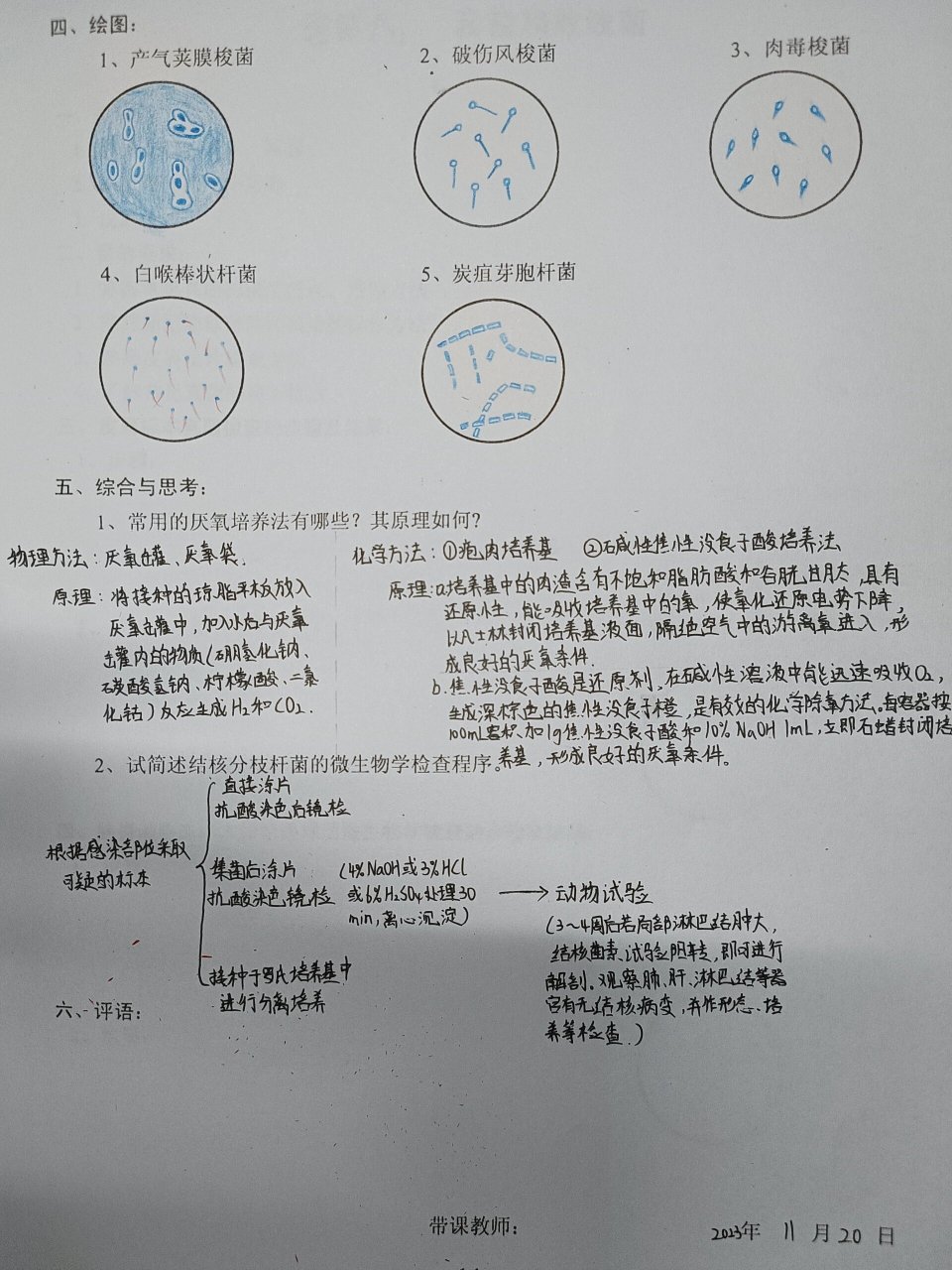 抗酸染色实验报告画图图片