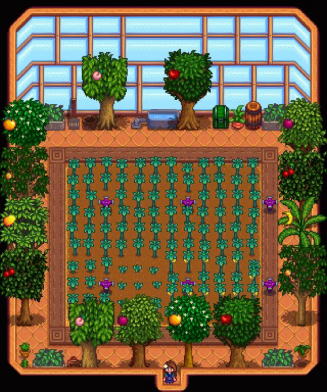 星露谷物语|温室布局参考 一共可以种18颗果树(如图2 图源自 洒水器