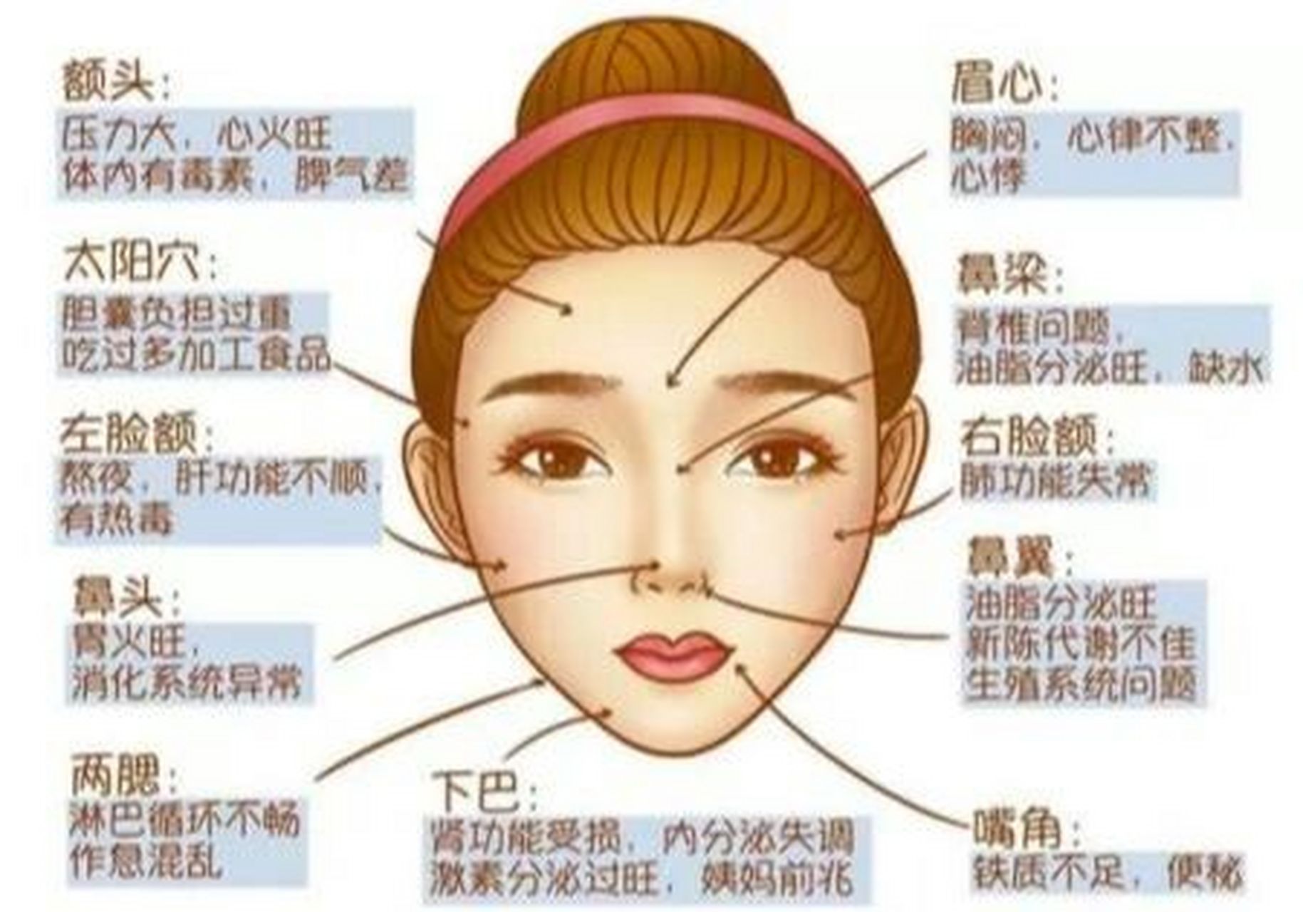 痘痘的位置反映病根的位置 1,额头长痘 压力过大,焦躁易怒,心火旺,血