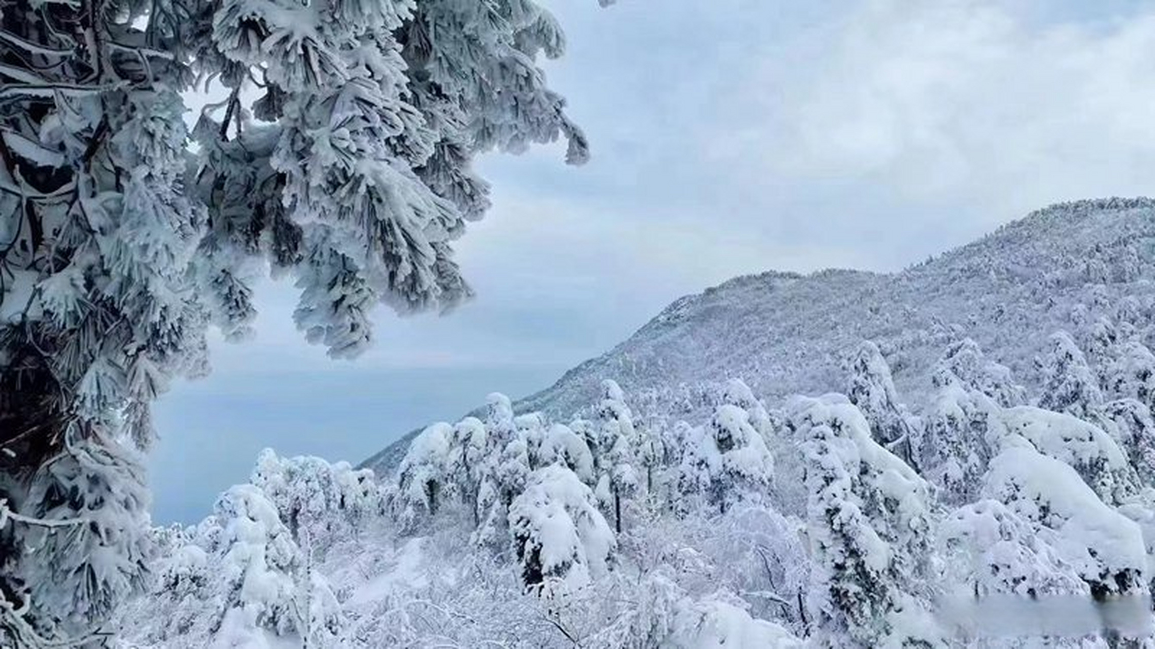 【9張溫州文成雪景圖,第一張我就心動了】#溫州長鏡頭#近日,溫州迎來